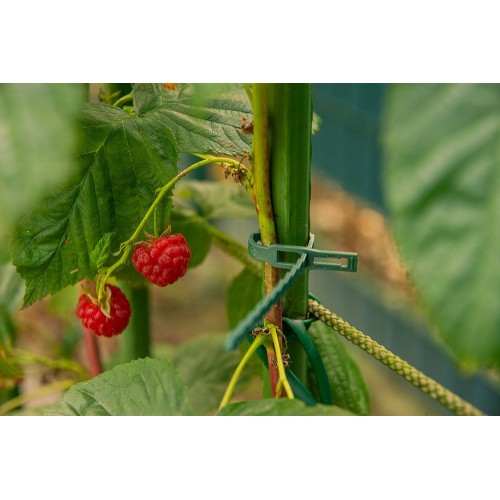 Releasable ties for plant strapping 5,4 mm x 17 cm - green / 50 pcs