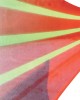 Fluorescent Marking Net 1x100m